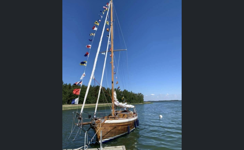 Scylla Scylla-kuva-1